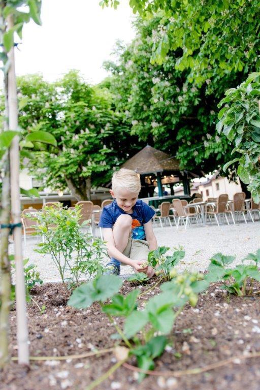 Fruehstueckspension Scharinger Hof Gilgenberg am Weilhart Exterior foto